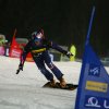 CW Fotos Snowboard Worldcup Jauerling 2012 181